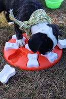 Nina Ottosson - Dog Treat Puzzle - Level 1