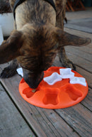 Nina Ottosson - Dog Treat Puzzle - Level 1