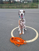 Black Dog Wear - Tracking Lead Regular - 11 metre - Medium snap