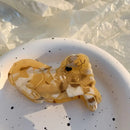 Pablo and Co - Acrylic Hair Claw