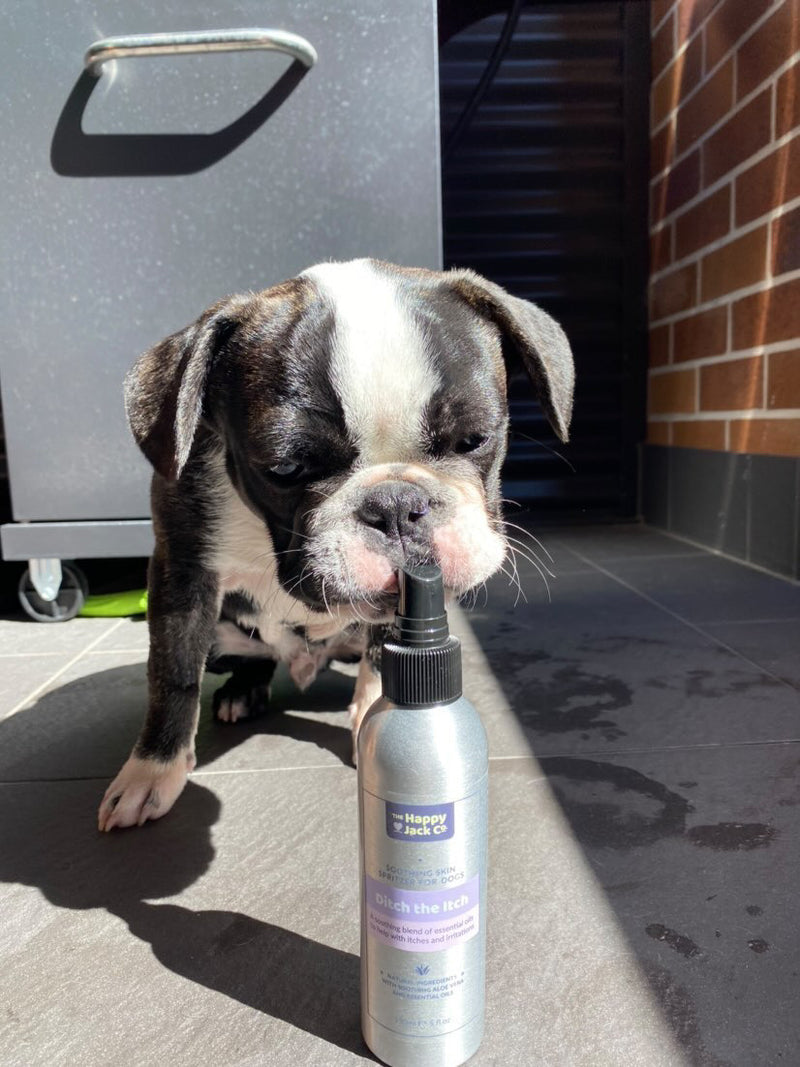 Happy Jack Co - Ditch the Itch Spritzer Cologne