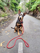 True Charlie Co - Rope Slip Lead - Velvet Red - The Original Charlie