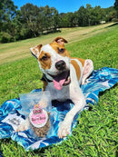 Tail and Co - Gill-ty