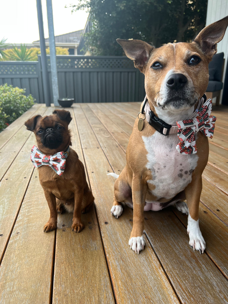 Ruby Rhubarb Sailor Bow and Bow Tie