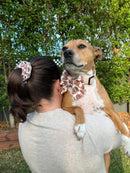 Ruby Rhubarb Sailor Bow and Bow Tie