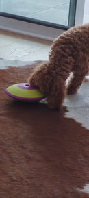 Nina Ottosson - Dog Treat Maze Puzzle - Level 2