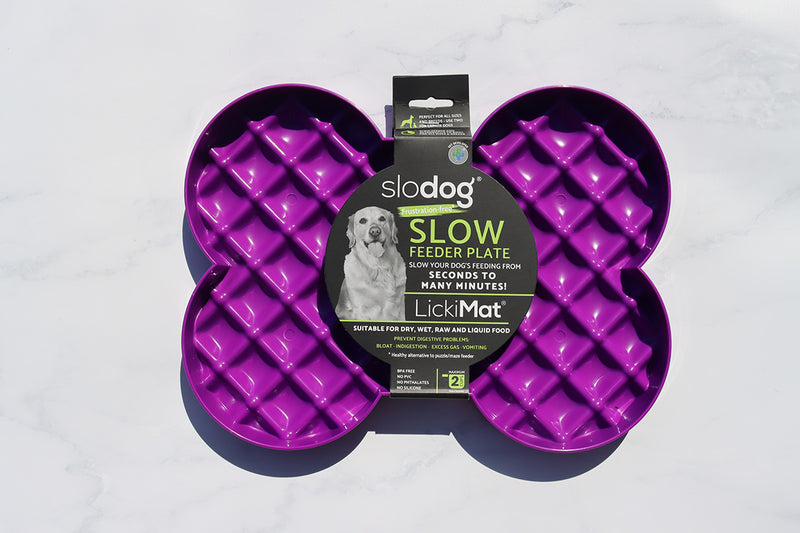 SloDog - Slow Feeder Plate