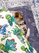 Indie Boho - Pet Blanket - Cactus Fusion