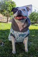 Sophisticated Pet - Hoodies - Arctic Circle