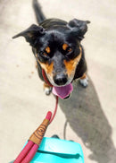 The Trainers Pouch - Pocket Pouch