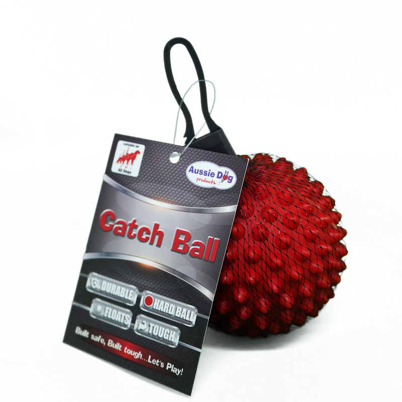 Aussie Dog - Catch Ball