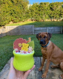 West Paw - Toppl Treat Dispenser