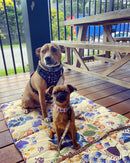 Indie Boho - Travel Mat - Blooming Bees