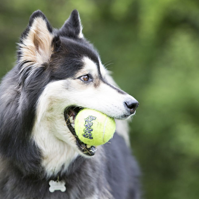 KONG - Airdog Squeaker Balls - X Small 3PK