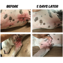 Good Boy Bones - Soothing Skin Balm