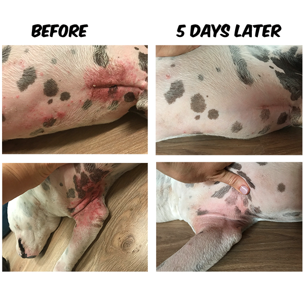 Good Boy Bones - Soothing Skin Balm Twist