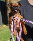 Pablo and Co - Pink Rainbows Adjustable Leash