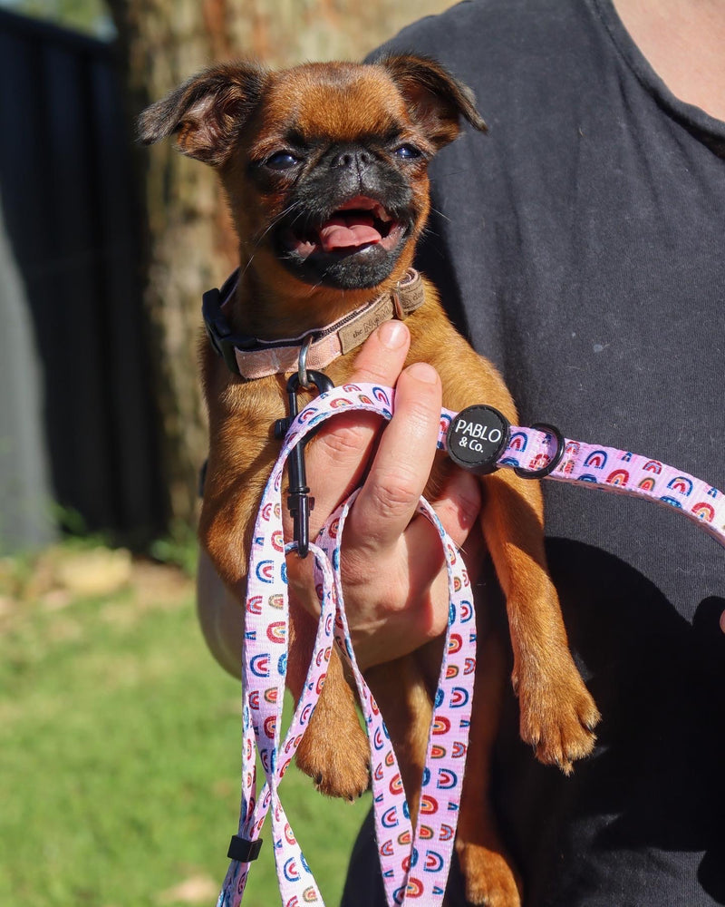 Pablo and Co - Pink Rainbows Adjustable Leash