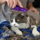 KONG - Cat Zoom Groom