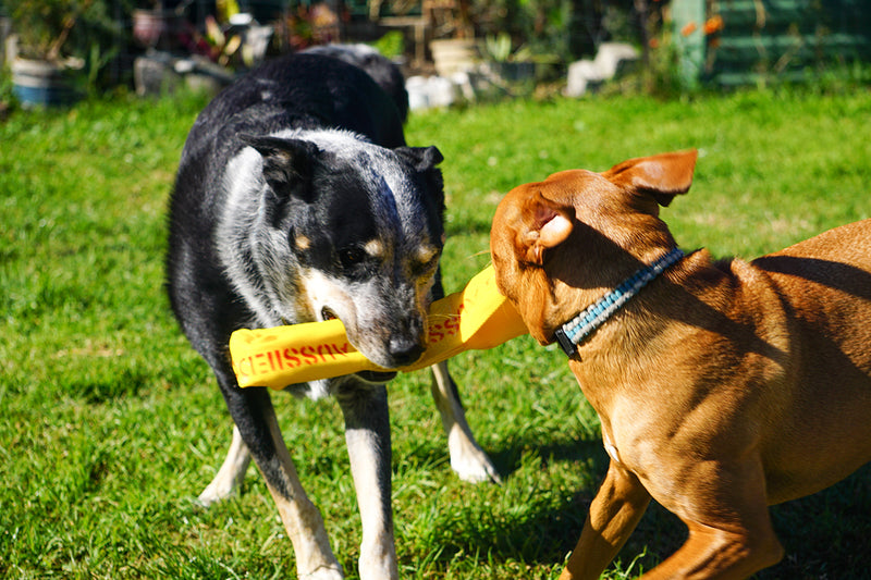 Aussie Dog - Pull It - Large
