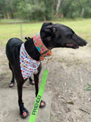 Sophisticated Pet - Bandana - Happy Gotcha Day