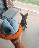 Zippy Paws - Aliens in UFO Burrow