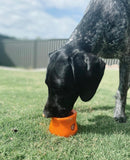 West Paw - Toppl Treat Dispenser