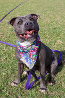 Sophisticated Pet - Bandana - Nut Bush City Limits