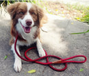 True Charlie Co - Rope Slip Lead - Velvet Red - The Original Charlie