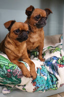 Indie Boho - Pet Blanket - Cactus Fusion