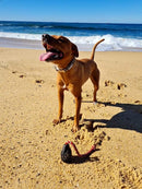 Rover Pet Products - Magnum Grenade Reward Toy