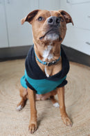 Sophisticated Pet - Hoodies - Plain Jay