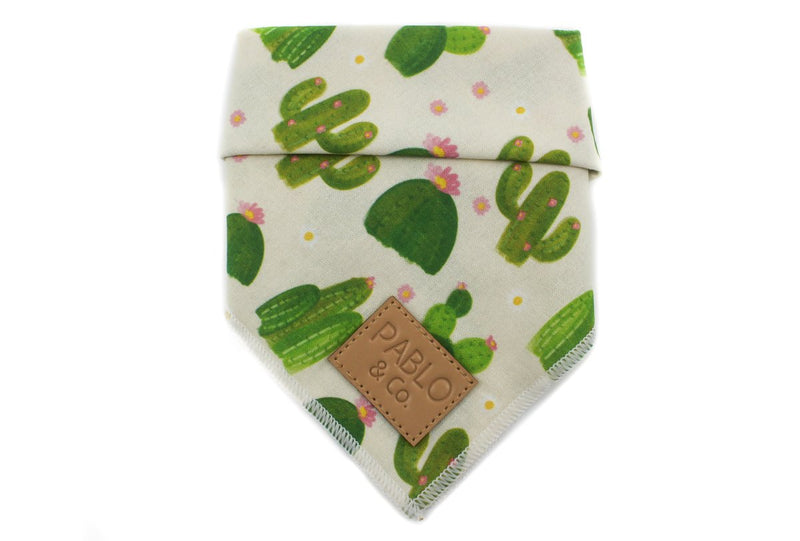 Pablo and Co - Bandana - Cactus