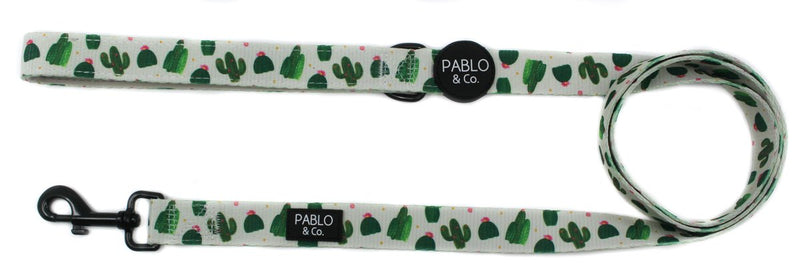 Pablo and Co - Cactus Leash