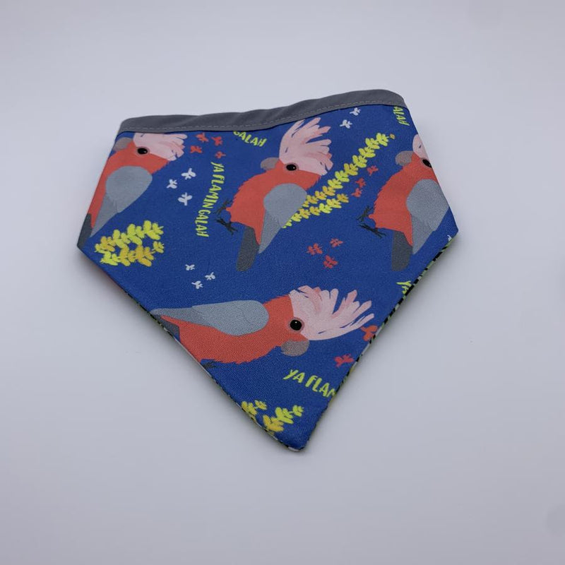 Sophisticated Pet - Bandana - Flamin Galah