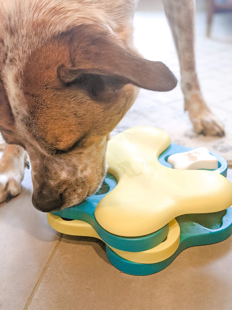 Outward Hound Nina Ottosson Dog Tornado Puzzle Toy