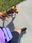 The Trainers Pouch - Pocket Pouch