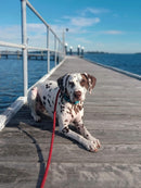 True Charlie Co - Rope Slip Lead - Velvet Red - The Original Charlie