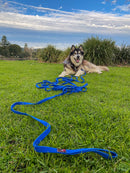 Black Dog Wear - Tracking Lead Regular - 11 metre - Medium snap