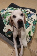 Indie Boho - Pet Blanket - Cactus Fusion