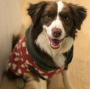 Sophisticated Pet - Hoodies - Love Bug