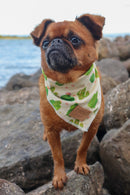 Pablo and Co - Bandana - Cactus