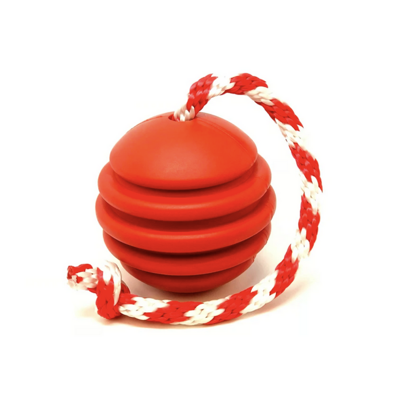 Rover Pet Products - Stars and Stripes Reward Ball Toy