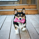 KONG - Squeezz Crackle