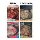 Good Boy Bones - Ruff Paw Balm