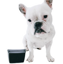 The Trainers Pouch - Pocket Pouch