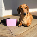 The Trainers Pouch - Pocket Pouch