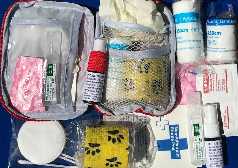 Total Dog 1st Aid Kit - Walkies