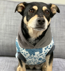 Sophisticated Pet - Hoodies - Arctic Circle