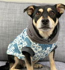 Sophisticated Pet - Hoodies - Arctic Circle